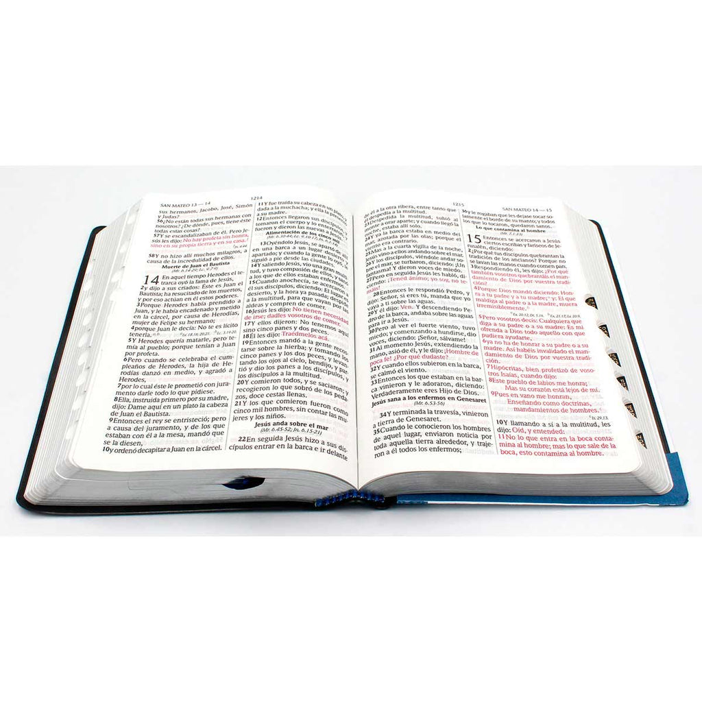 BIBLIA ZUL LETRA 12 PTS