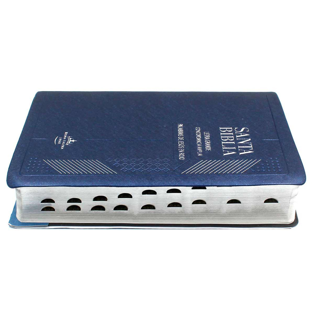 BIBLIA ZUL LETRA 12 PTS