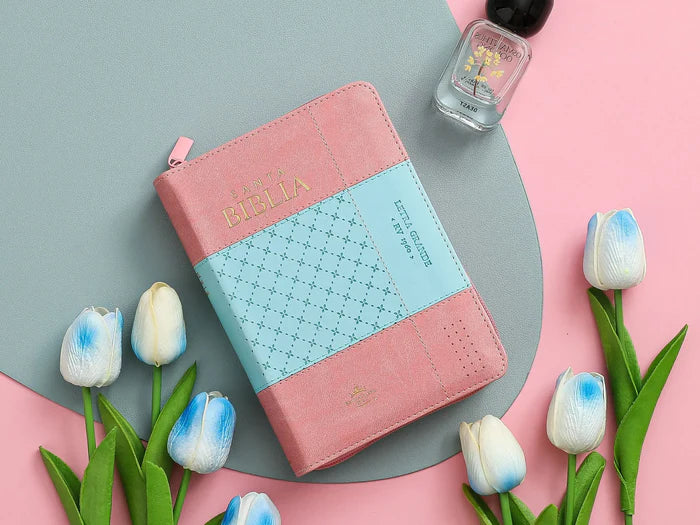BIBLIA GRANDE CON CIERRE BICOLOR ROSA/AZUL