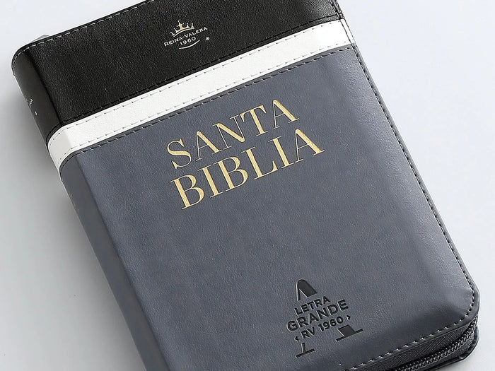 BIBLIA REINA VALERA 1960 TRICOLOR MEDIANA CABALLERO