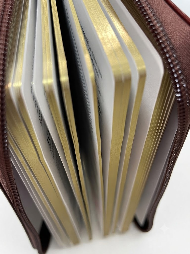 Biblia RVR60cz Obsequios Y Premios Marrón Elegante Con Cierre