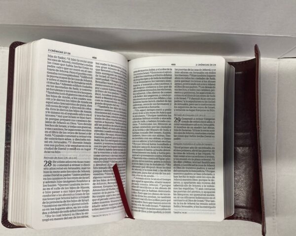 RVR60 Biblia Letra Grande Compacta Marrón