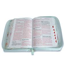 Biblia mediana, letra grande 12 puntos  cierre, índice, canto pintado, Flores azul