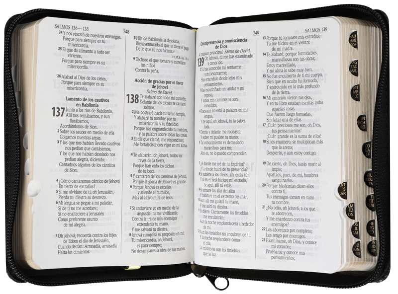 Biblia Reina Valera 1960, RVR025cTILGa, Tamaño Bolsillo Letra Mediana Imitación Piel Negro