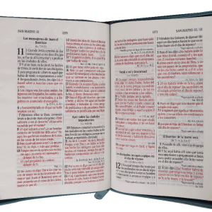 BIBLIA CHICA VINIL GRIS