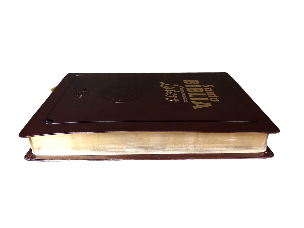 Biblia con Reflexiones de Martín Lutero Tapa Piel