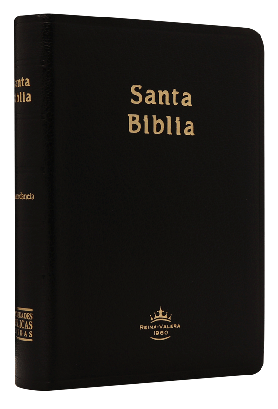 Biblia Reina Valera 1960 Chica Letra Mediana Imitación Piel Negro