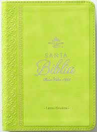 BIBLIA REINA VALERA 1960 IMITACIÓN PIEL MEDIANA VERDE LIMA