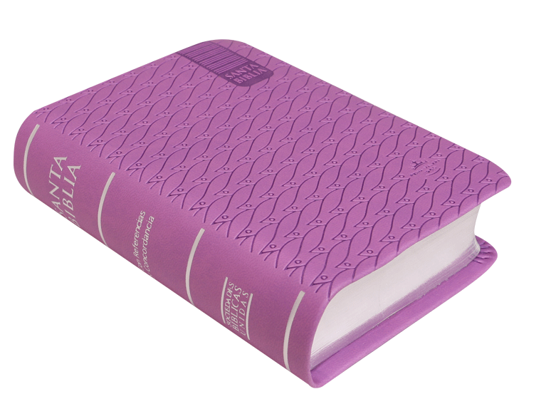 Biblia Reina Valera 1960,RVR025cRP, Tamaño Bolsillo Letra Mediana Imitación Piel morada