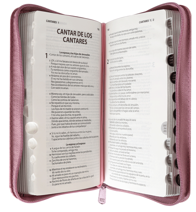 Biblia tipo cartera con cierre, rosa