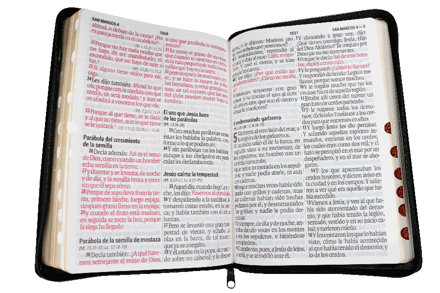 Biblia Letra Super Gigante