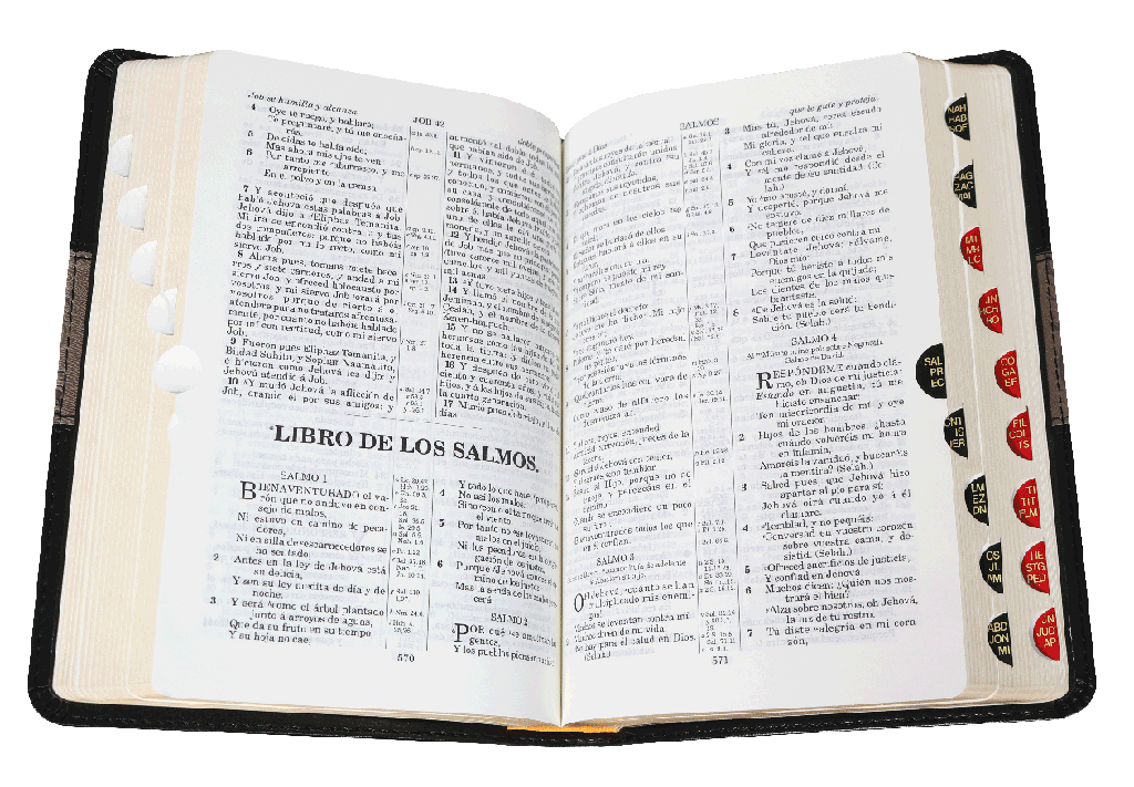 Biblia Mediana Negra, versión antigua 1909 con índice VR055TI  negro