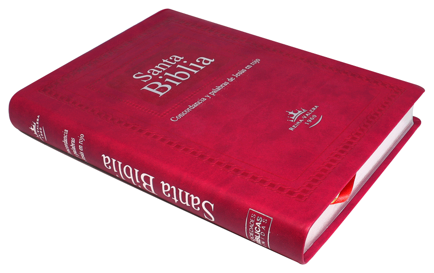Biblia Letra Gigante Púrpura RVR 1960