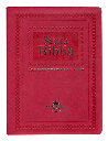 Biblia Letra Gigante Púrpura RVR 1960