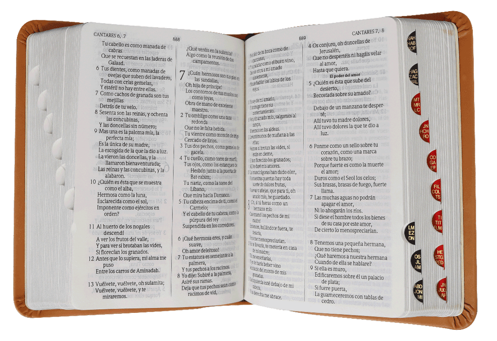Biblia chica RVR025cti naranja, con canto plata